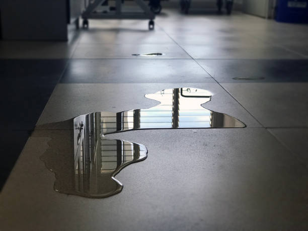 Best Water damage restoration process  in Edneyville, NC