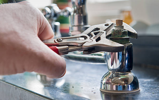 Best Flood damage cleanup  in Edneyville, NC