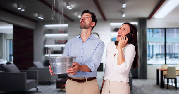 Best Water damage restoration near me  in Edneyville, NC