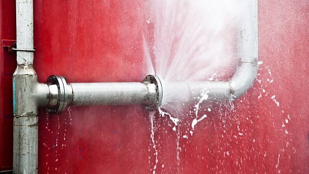 Best Emergency water extraction  in Edneyville, NC